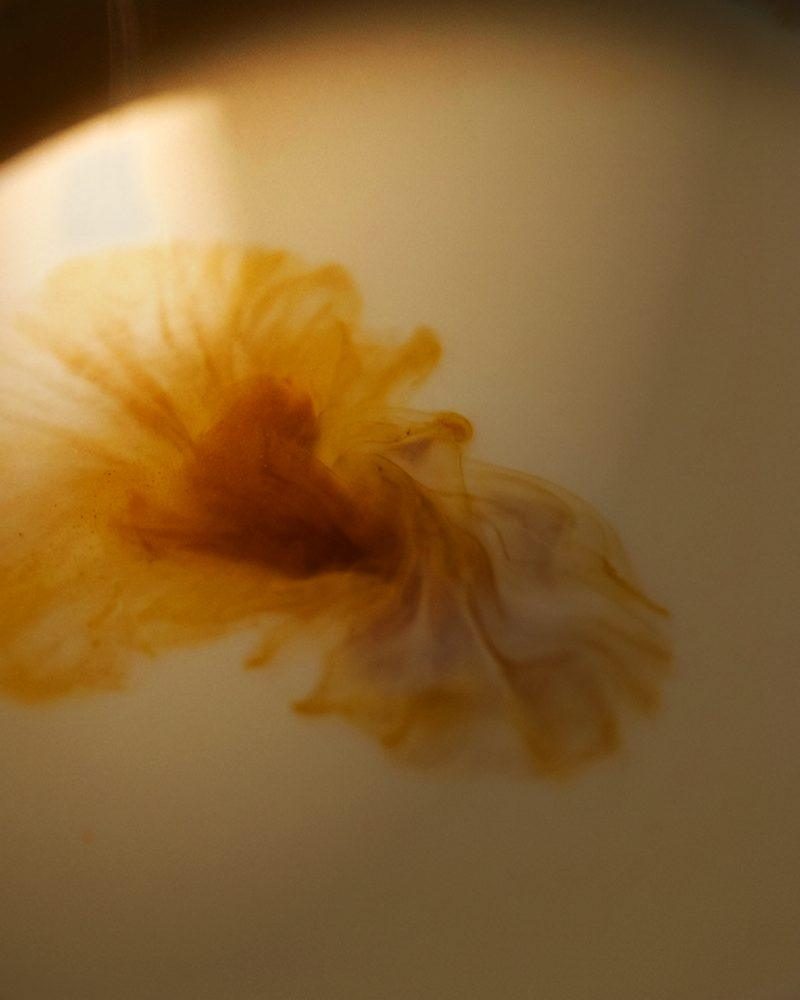 Turmeric blooming in warm milk